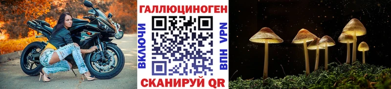 Галлюциногенные грибы ЛСД где купить наркоту Ярославль